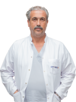 site web internatinal optimizat 500x600 (15)