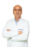 optimizat site web internațional 500x600 - 2025-12-31T122629.071