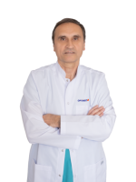 site web internațional optimizat 500x600 (39)