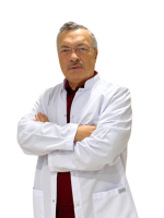 site web internațional optimizat 500x600 (42)
