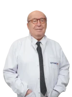 site web internațional optimizat 500x600 (56)