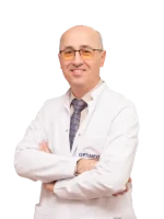 site web internațional optimizat 500x600 (75)