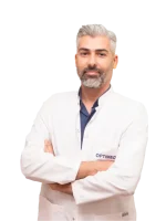 site web internațional optimizat 500x600 (79)