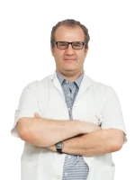 site web internațional optimizat 500x600 (83)
